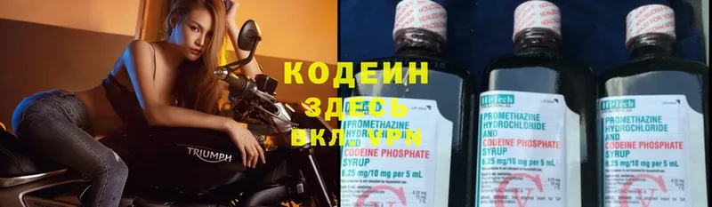 магазин продажи наркотиков  ссылка на мегу ТОР  Кодеиновый сироп Lean Purple Drank  Барнаул 